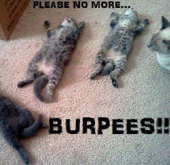 burpees NO more
