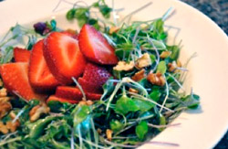 Strawberry-MicroGreen-Salad